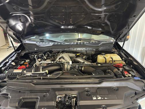 2020 Ford F-350 Platinum