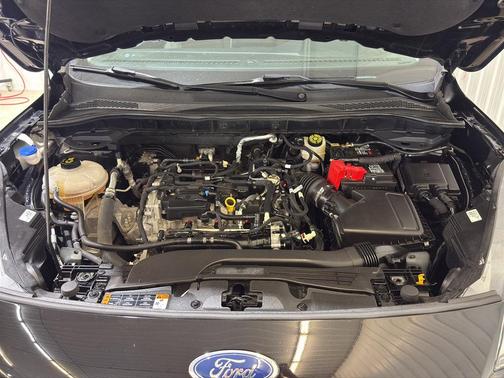 Agate Black Metallic 2021 Ford Escape SE