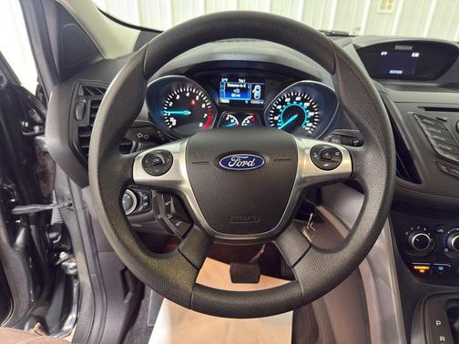 Magnetic 2016 Ford Escape SE