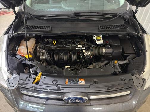 Magnetic 2016 Ford Escape SE