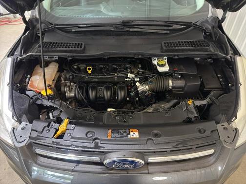 Magnetic 2016 Ford Escape SE