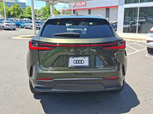 Nori Green Pearl 2024 Lexus NX 350 350 Base
