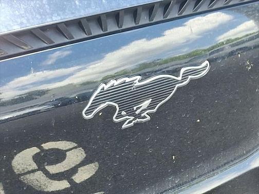 2022 Ford Mustang Mach-E Select