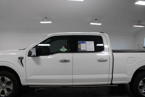 2021 Ford F-150 Platinum