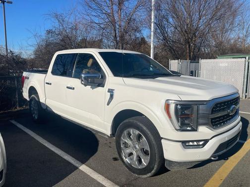2021 Ford F-150 Platinum