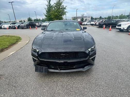 2019 Ford Mustang EcoBoost
