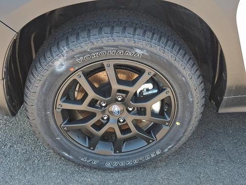 Ice Silver 2026 Subaru Crosstrek Wilderness