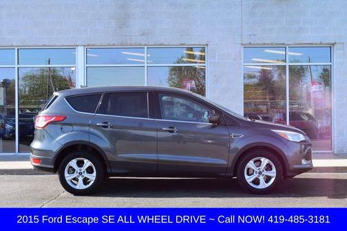 Magnetic 2015 Ford Escape SE