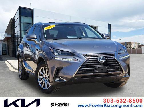 Gray Pearl 2018 Lexus NX 300 Base