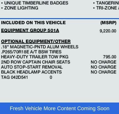 2022 Ford Expedition Timberline