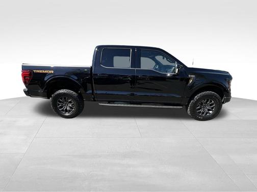 Agate Black Metallic 2025 Ford F-150 Tremor