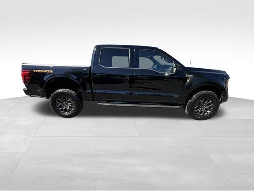 Agate Black Metallic 2025 Ford F-150 Tremor