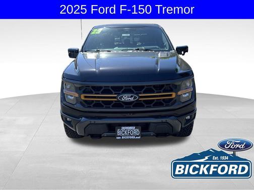 Agate Black Metallic 2025 Ford F-150 Tremor
