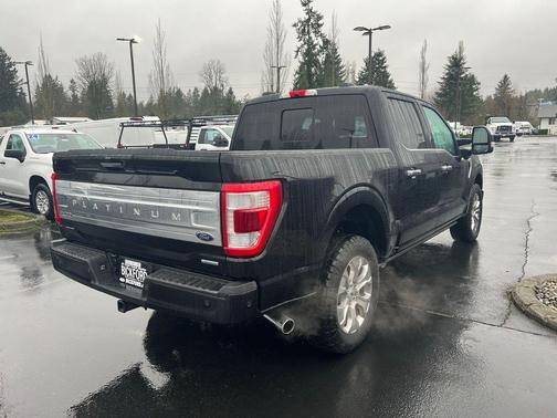 2021 Ford F-150 Platinum