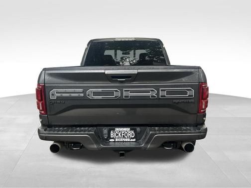 Magnetic 2019 Ford F-150 Raptor