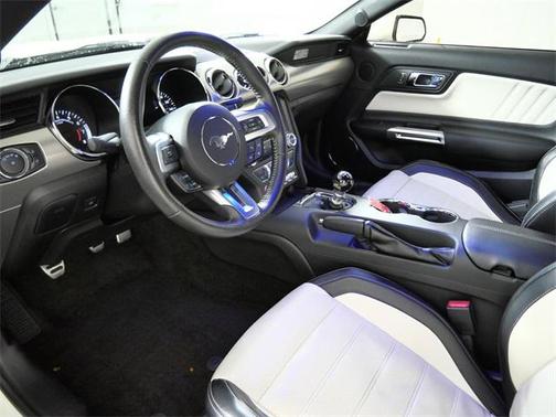 2015 Ford Mustang GT 50 Years Limited Edition