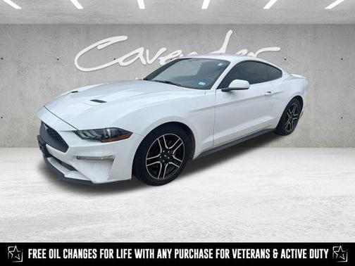 2019 Ford Mustang EcoBoost
