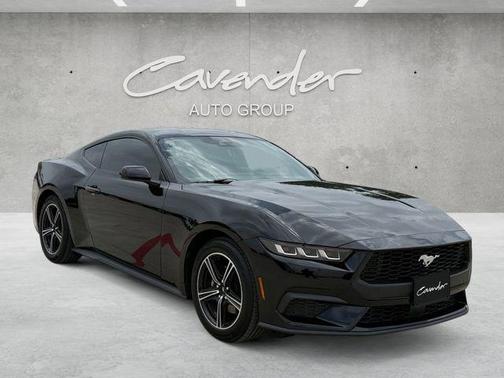 Shadow Black 2025 Ford Mustang EcoBoost