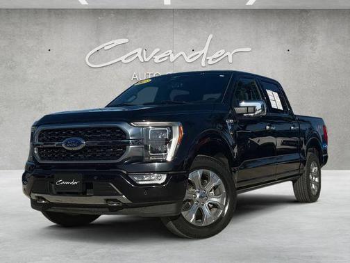 2023 Ford F-150 Platinum
