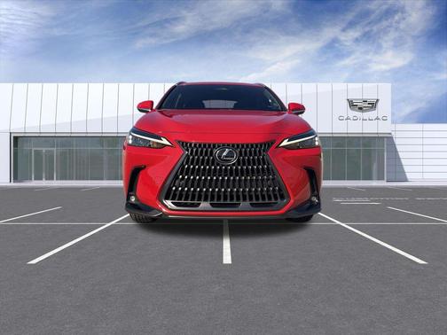 2025 Lexus NX 250 Premium
