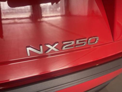 2025 Lexus NX 250 Premium