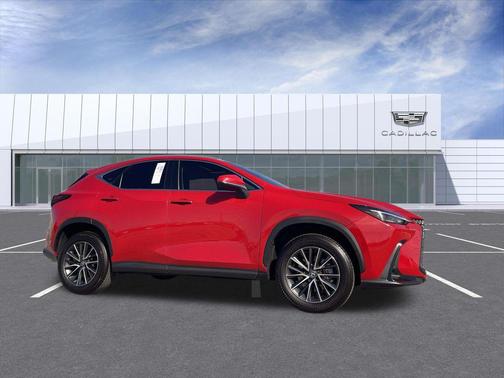 2025 Lexus NX 250 Premium