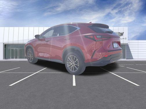 2025 Lexus NX 250 Premium