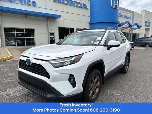 Ice 2023 Toyota RAV4 Hybrid Woodland Edition