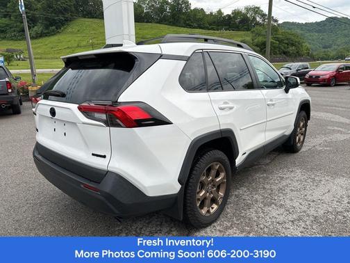 Ice 2023 Toyota RAV4 Hybrid Woodland Edition
