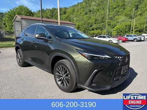 Green Pearl 2023 Lexus NX 350 Premium