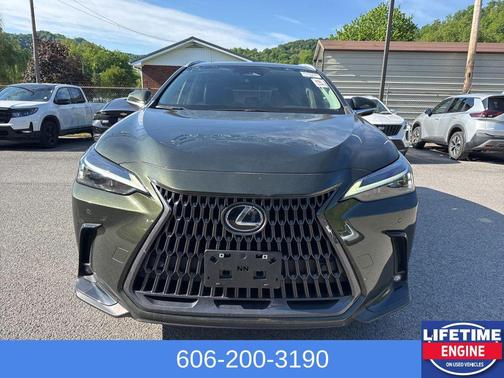 Green Pearl 2023 Lexus NX 350 Premium