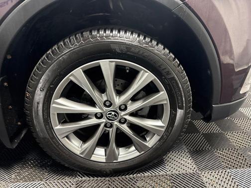 Black Currant 2016 Toyota RAV4 Limited