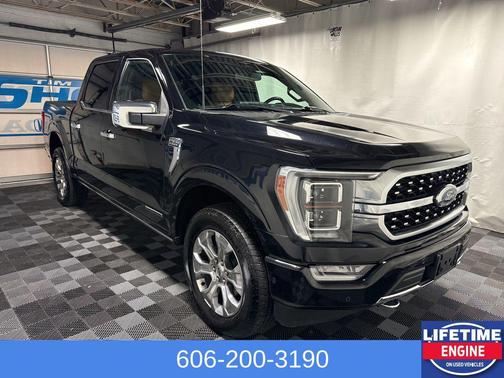 Agate Black Metallic 2023 Ford F-150 Platinum