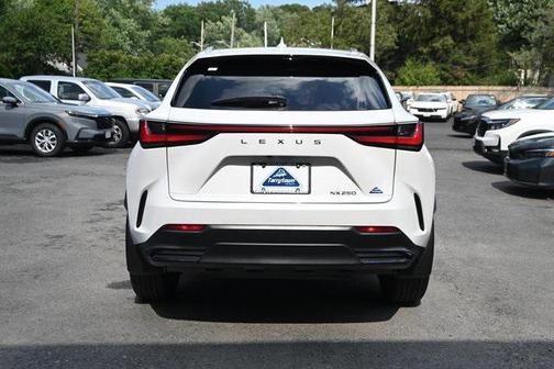 2024 Lexus NX 250 Base