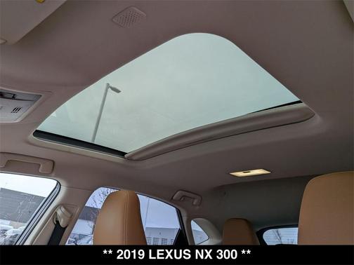 2019 Lexus NX 300 Base