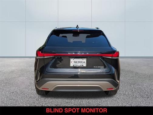 2025 Lexus RX 350 Luxury