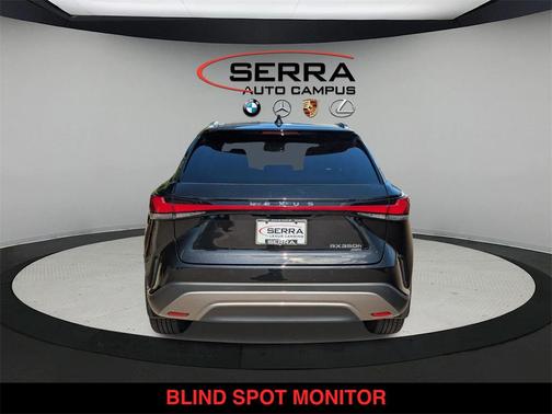 2025 Lexus RX 350 Luxury