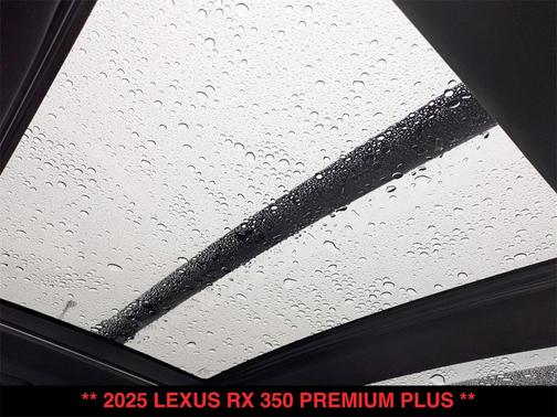 2025 Lexus RX 350 Premium Plus