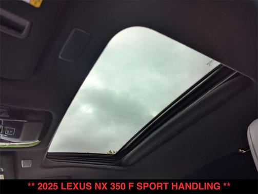 2025 Lexus NX 350 F SPORT Handling