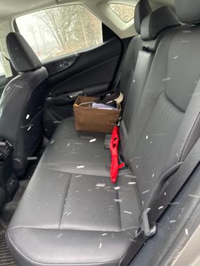 2023 Lexus NX 350 Premium