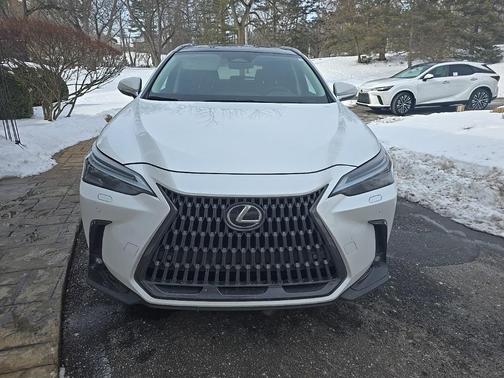 2024 Lexus NX 350 Luxury