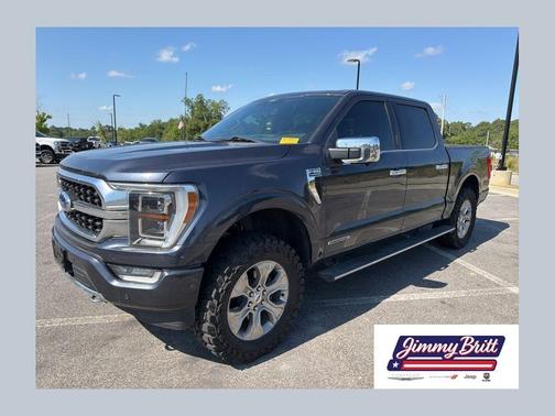 Smoked Quartz Metallic Tinted Clearcoat 2021 Ford F-150 Platinum