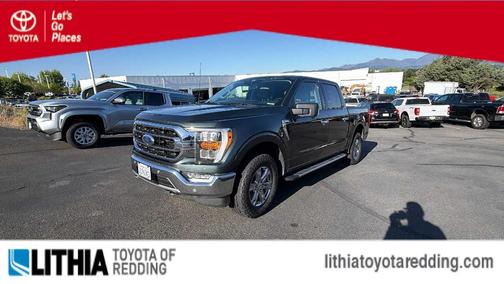 GUARD METALLIC 2021 Ford F-150 XLT