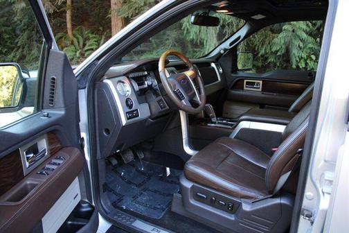 2010 Ford F-150 Platinum