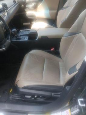 Sunlit Green 2019 Lexus ES 300h Luxury