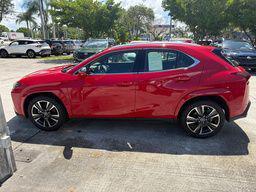 Redline 2025 Lexus UX 300h Premium