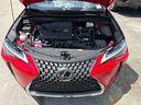 Redline 2025 Lexus UX 300h Premium