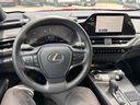 Redline 2025 Lexus UX 300h Premium