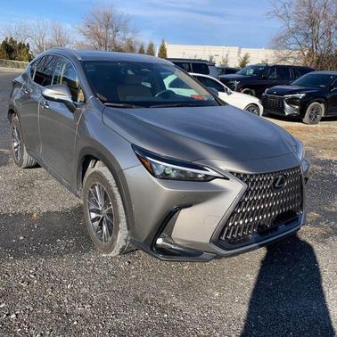 2023 Lexus NX 350h Premium