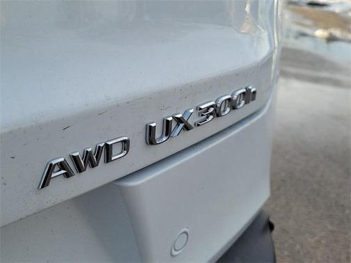 2025 Lexus UX 300h F SPORT Design